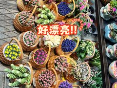 -溪岸路花鸟市场