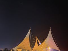 -威海大水泊国际机场