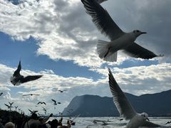 -海埂大坝