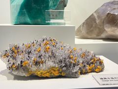 -重庆自然博物馆(新馆)