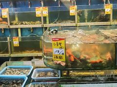 -鑫悦楼煎蟹·16年海鲜大排档