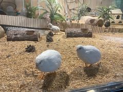 -长春中泰海洋世界