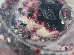 -奈雪的茶(石家庄万象城店)