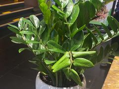 -黔蘑菇四季餐厅(观山湖店)