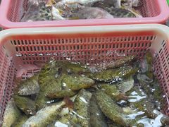 -都斛海鲜街