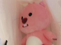 -九木杂物社(恒隆广场店)