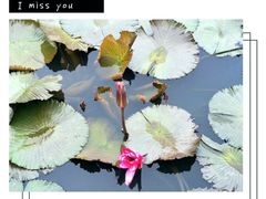 -白沙门生态公园