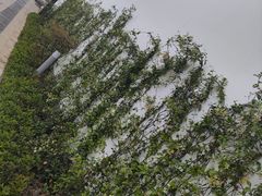 -相门城墙文化休闲景区