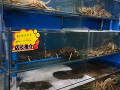 -蚝专家(北滘店)