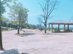 -杭州野生动物世界