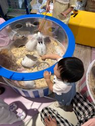 -孩子王童乐园(广州萝岗万达店)