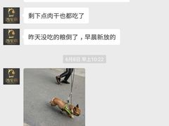 -西元前宠物酒店(郑庄府邸店)