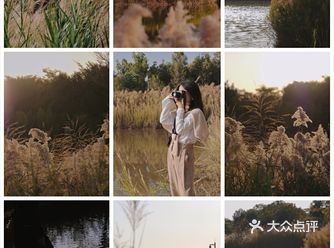 深圳「景」藏在CBD里的一道原生态风景线