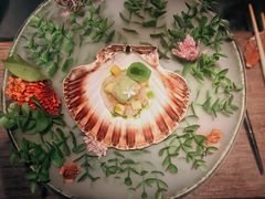 扇贝慕斯-地球美食剧场