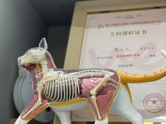 -天时宠物医院24小时疑难病例会诊中心(顾乡大街总院)