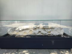 -嘉定博物馆