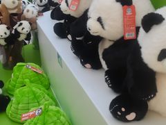 -秦皇岛野生动物园