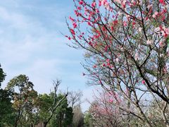 -苏州太湖国家湿地公园