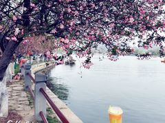 -莫愁湖公园