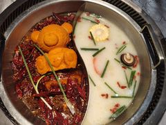 小熊鸳鸯锅-红辣椒·川菜·火锅(张杨路店)