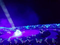 演出现场-鼎盛王朝康熙大典实景演出