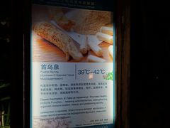 -三亚珠江南田温泉度假区