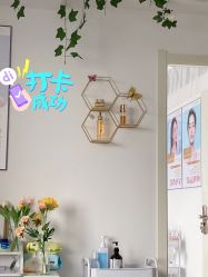 -凡碧诗毛孔收细