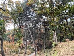 -红螺寺