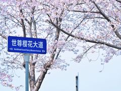 -苏州独墅湖世尊酒店