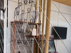 -pd派德宠物中心医院24H急重症·眼科中心·血液透析中心(嵩山北路店)