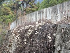 -比日神山