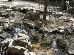 -四门塔风景区