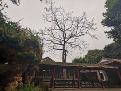 -粤晖园