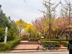-洨河生态公园