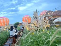 -汕尾风车岛
