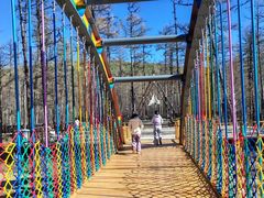 -莫尔道嘎国家森林公园