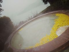 -天目湖涵田半山温泉