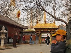 -护国法轮寺