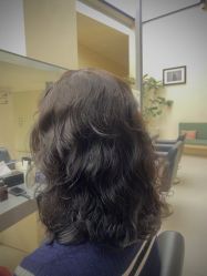 -YESIDO椰岛造型