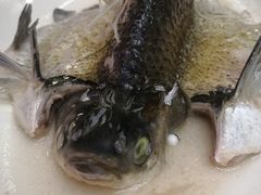 油盐蒸神仙鳊鱼-四海酒家生态粤菜