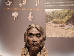 -广西壮族自治区博物馆