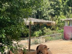 -泉州海丝野生动物世界