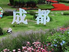 -空港花田景区