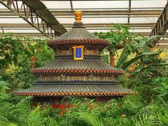 -南宫五洲植物乐园