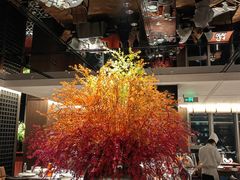 -秀儿四九城·新京菜(亚运村鸟巢店)