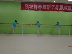 -舞蕾舞蹈(特长生校区)