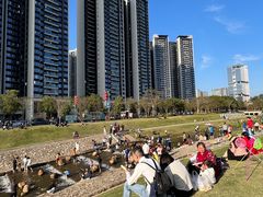 -光明小镇欢乐田园