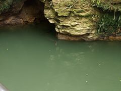 -怀托摩萤火虫洞