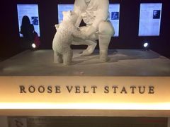 -成都泰迪熊博物馆