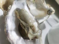 -威海渔村(静安旗舰店)